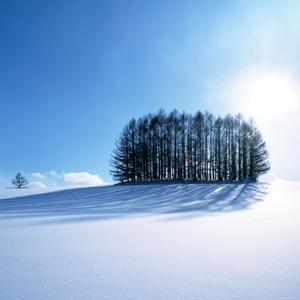 免费搭建小驴导航
