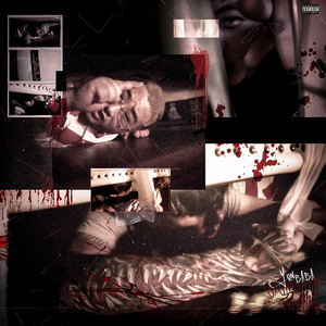 免费搭建小驴导航
